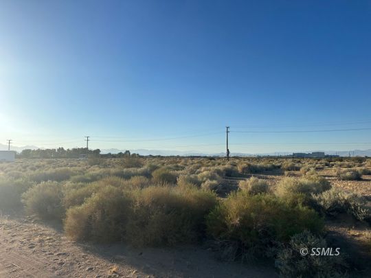 Click for more details