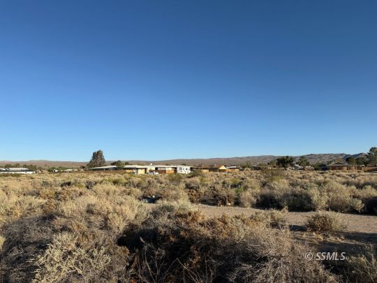 Click for more details